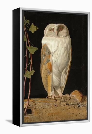 The White Owl, 1856-William J. Webbe-Framed Premier Image Canvas