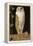 The White Owl: 'Alone and Warming His Five Wits, the White Owl in the Belfry Sits', 1856-William J. Webbe-Framed Premier Image Canvas