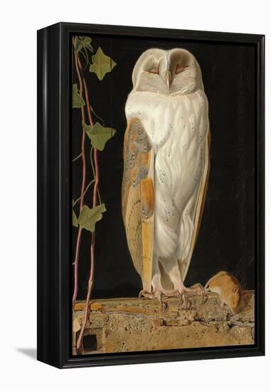 The White Owl: 'Alone and Warming His Five Wits, the White Owl in the Belfry Sits', 1856-William J. Webbe-Framed Premier Image Canvas