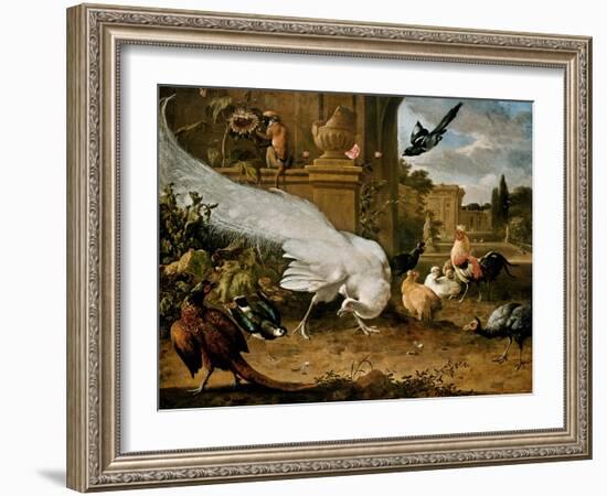 The White Peacock-Melchior d'Hondecoeter-Framed Giclee Print