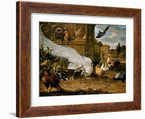 The White Peacock-Melchior d'Hondecoeter-Framed Giclee Print