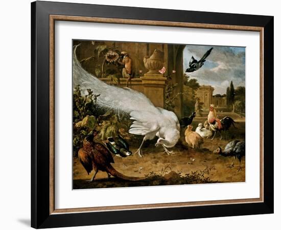 The White Peacock-Melchior d'Hondecoeter-Framed Giclee Print