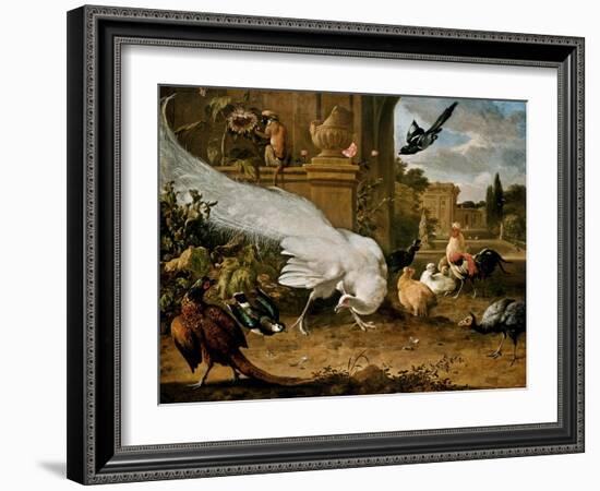 The White Peacock-Melchior d'Hondecoeter-Framed Giclee Print