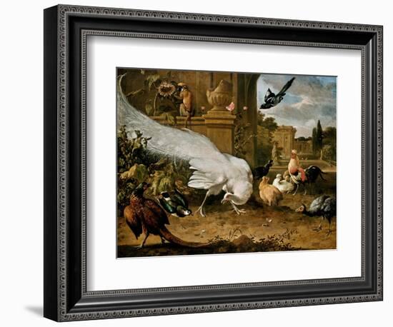 The White Peacock-Melchior d'Hondecoeter-Framed Giclee Print