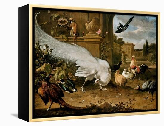 The White Peacock-Melchior d'Hondecoeter-Framed Premier Image Canvas