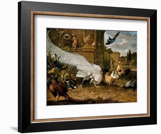 The White Peacock-Melchior d'Hondecoeter-Framed Premium Giclee Print