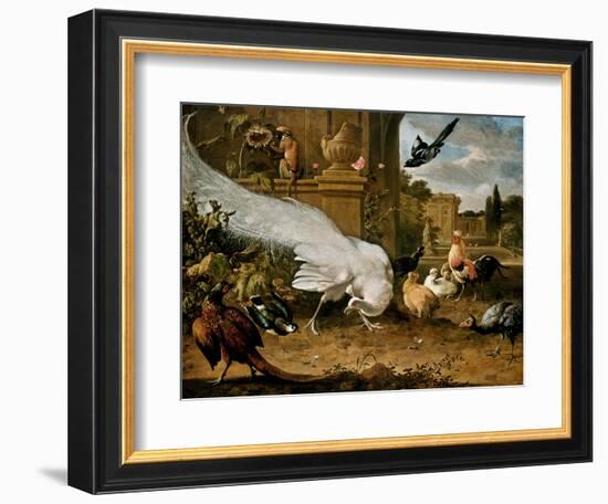 The White Peacock-Melchior d'Hondecoeter-Framed Premium Giclee Print