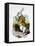 'The White Rabbit with a watch', 1889-John Tenniel-Framed Premier Image Canvas