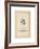 The White Rabbit-John Tenniel-Framed Premium Giclee Print