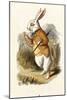The White Rabbit-John Teniel-Mounted Giclee Print