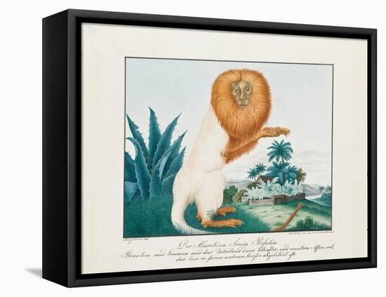 The White Saki, 1835-Aloys Zotl-Framed Premier Image Canvas