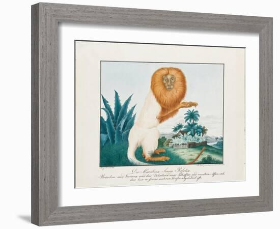 The White Saki, 1835-Aloys Zotl-Framed Giclee Print