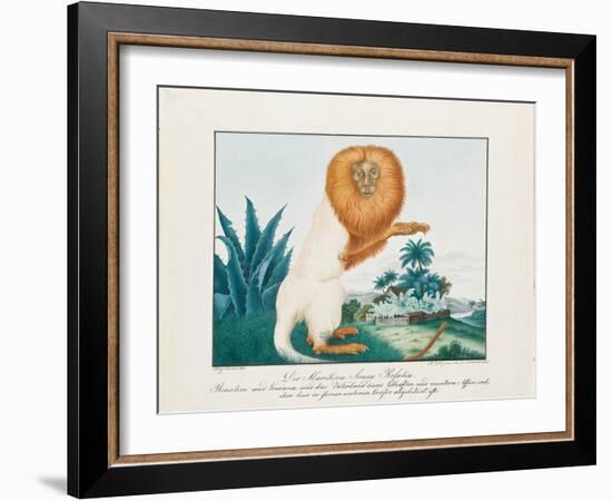 The White Saki, 1835-Aloys Zotl-Framed Giclee Print