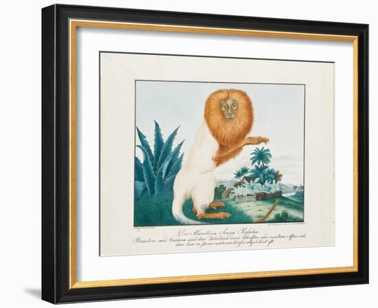 The White Saki, 1835-Aloys Zotl-Framed Giclee Print