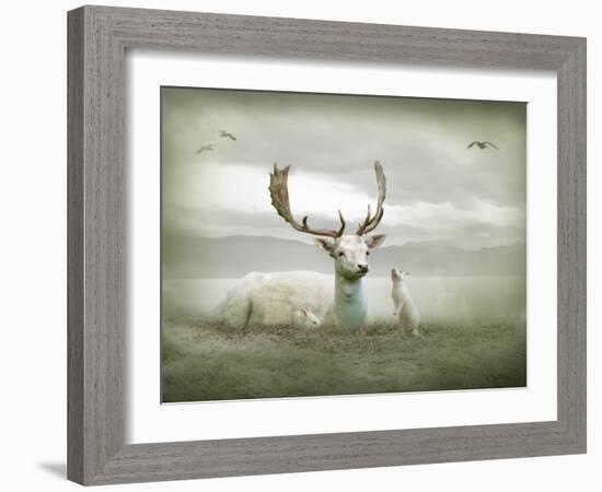 The White Stag-Lynne Davies-Framed Photographic Print