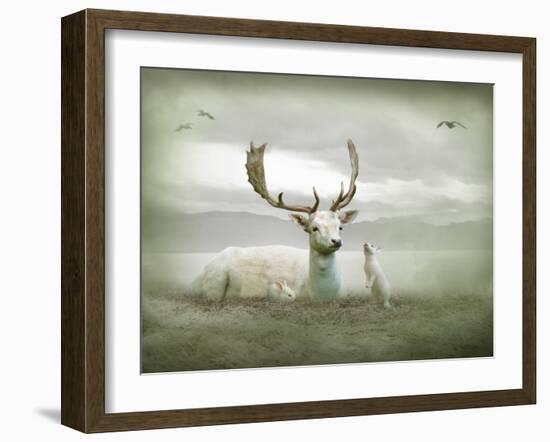 The White Stag-Lynne Davies-Framed Photographic Print