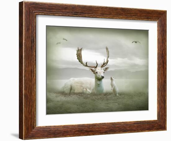 The White Stag-Lynne Davies-Framed Photographic Print