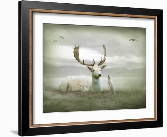 The White Stag-Lynne Davies-Framed Photographic Print