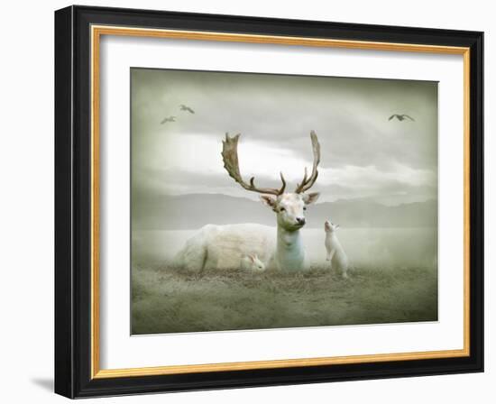 The White Stag-Lynne Davies-Framed Photographic Print