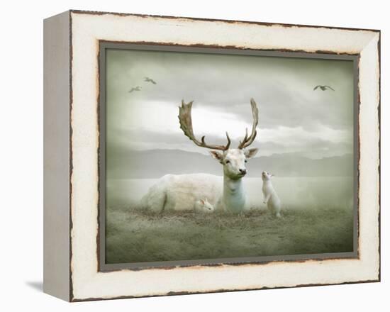 The White Stag-Lynne Davies-Framed Premier Image Canvas