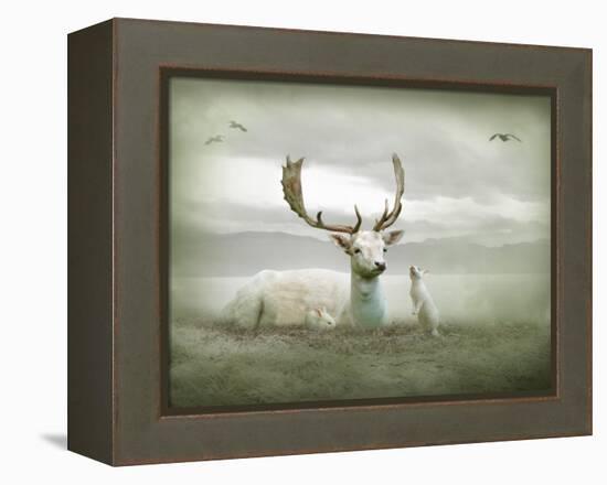 The White Stag-Lynne Davies-Framed Premier Image Canvas