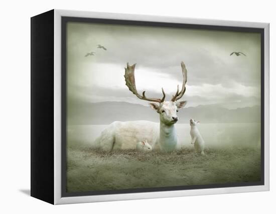 The White Stag-Lynne Davies-Framed Premier Image Canvas