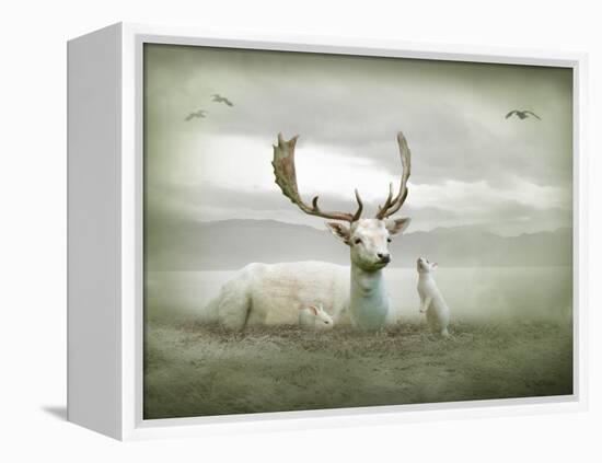 The White Stag-Lynne Davies-Framed Premier Image Canvas