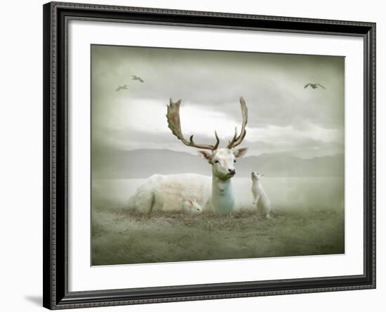 The White Stag-Lynne Davies-Framed Photographic Print