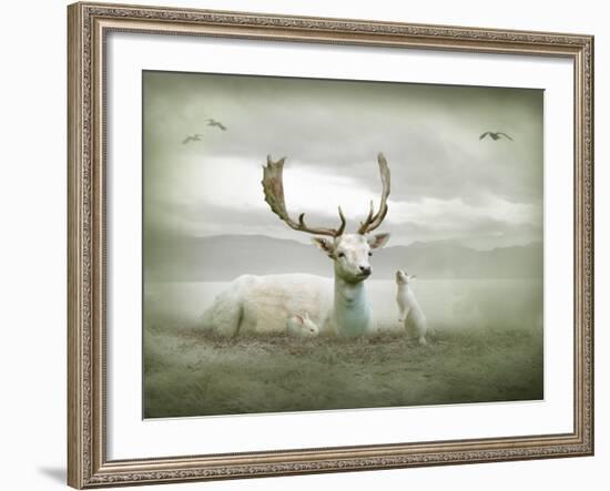 The White Stag-Lynne Davies-Framed Photographic Print