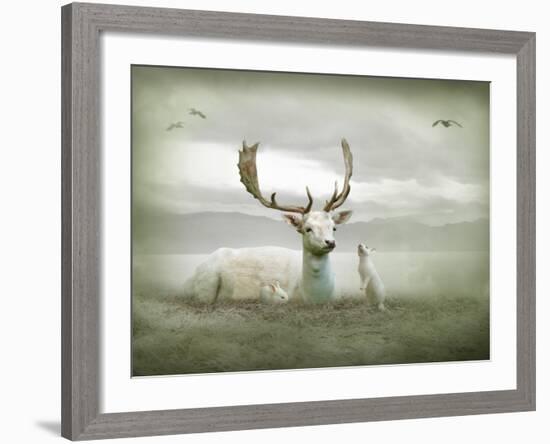 The White Stag-Lynne Davies-Framed Photographic Print