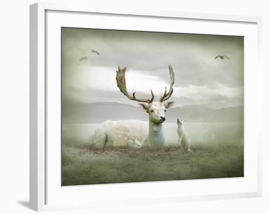 The White Stag-Lynne Davies-Framed Photographic Print