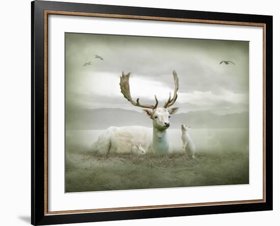 The White Stag-Lynne Davies-Framed Photographic Print