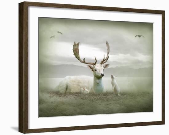 The White Stag-Lynne Davies-Framed Photographic Print
