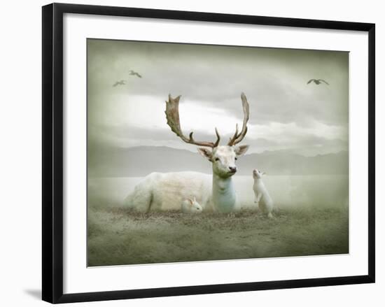 The White Stag-Lynne Davies-Framed Photographic Print