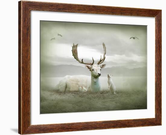 The White Stag-Lynne Davies-Framed Photographic Print