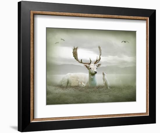 The White Stag-Lynne Davies-Framed Photographic Print