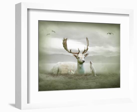 The White Stag-Lynne Davies-Framed Photographic Print