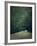 The White Walk-Tim Kahane-Framed Photographic Print