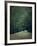 The White Walk-Tim Kahane-Framed Photographic Print