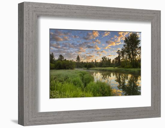 The Whitefish River at Sunrise Reflecting in Whitefish, Montana-Chuck Haney-Framed Photographic Print