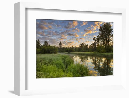 The Whitefish River at Sunrise Reflecting in Whitefish, Montana-Chuck Haney-Framed Photographic Print