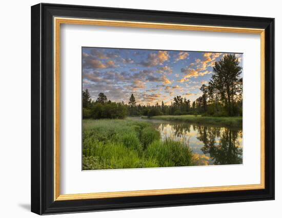 The Whitefish River at Sunrise Reflecting in Whitefish, Montana-Chuck Haney-Framed Photographic Print