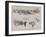 The Whitsun Monday Carthorse Parade in Regent's Park-Frank Craig-Framed Giclee Print