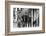 The Who, with Dogs-Associated Newspapers-Framed Photo