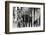 The Who, with Dogs-Associated Newspapers-Framed Photo