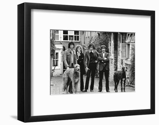 The Who, with Dogs-Associated Newspapers-Framed Photo