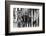 The Who, with Dogs-Associated Newspapers-Framed Photo