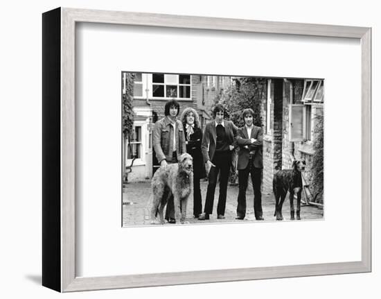 The Who, with Dogs-Associated Newspapers-Framed Photo