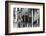 The Who, with Dogs-Associated Newspapers-Framed Photo