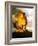 The Wicker Man-null-Framed Photo